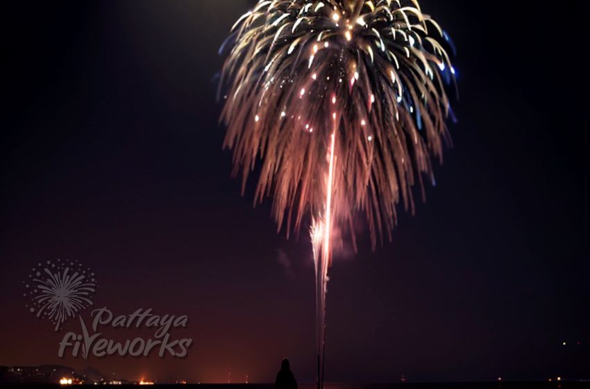 Nishiki Kamuro Fireworks